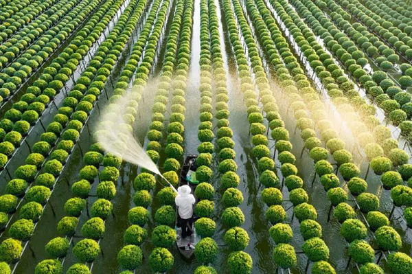 Máy nén khí dùng trong nông nghiệp