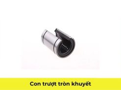 Con trượt tròn khuyết