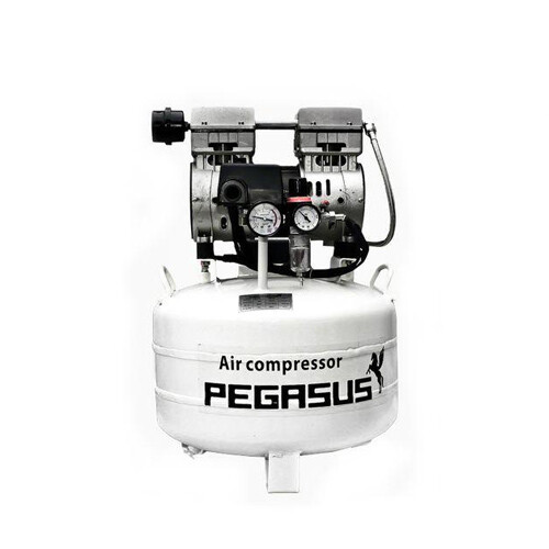 Máy nén khí không dầu pegasus TM-OF750-40L
